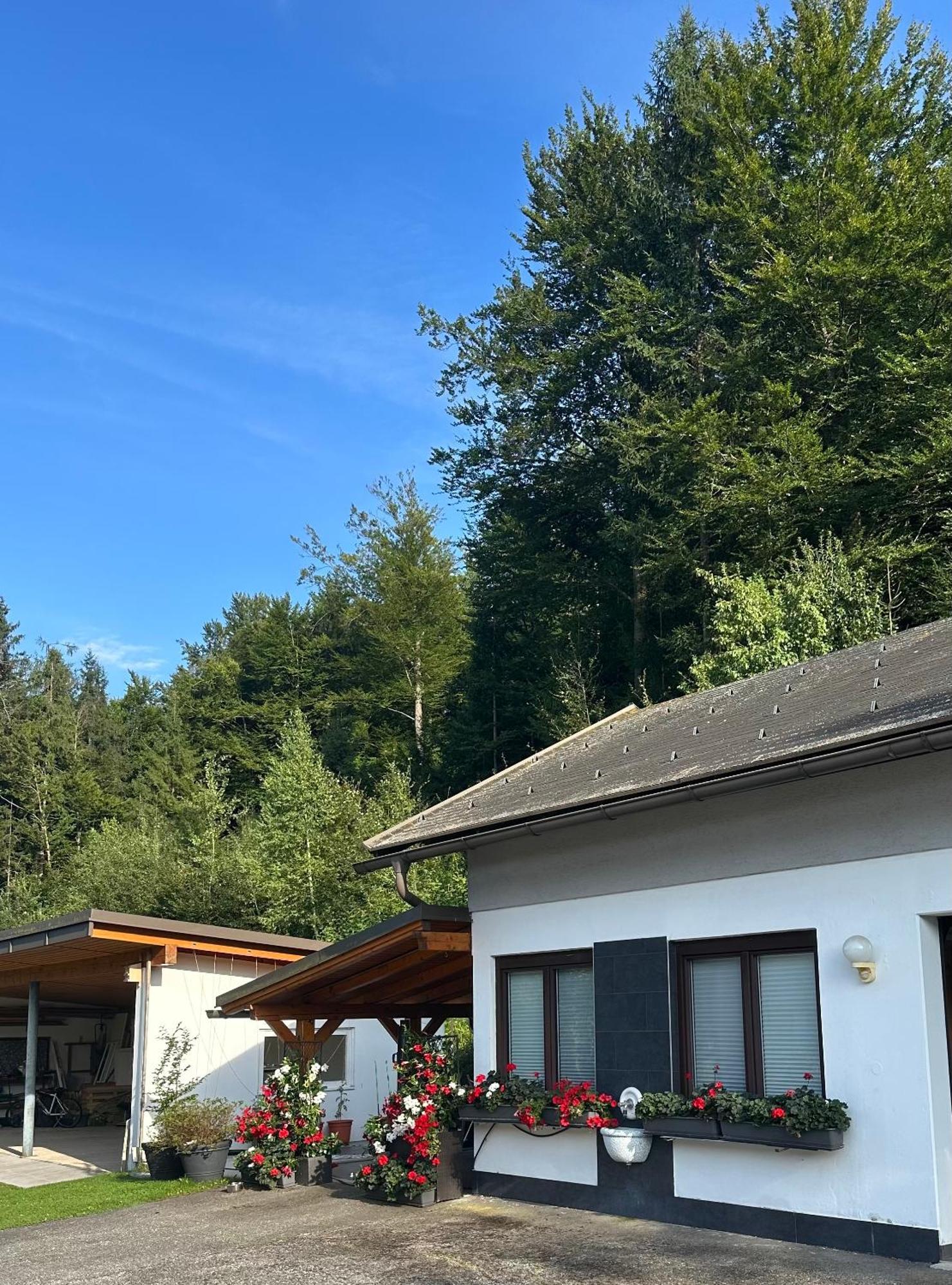 Oberaichwald  Ferienwohnung Waldblick, Faaker See מראה חיצוני תמונה